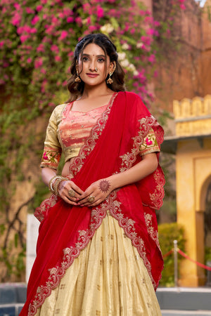 Red Paithani border lehenga choli for wedding