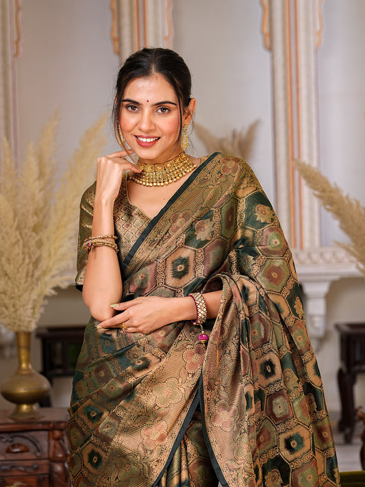 Pure Organza Saree Exuding Regal Charm With Its Rich Pallu And Intricate Brocade