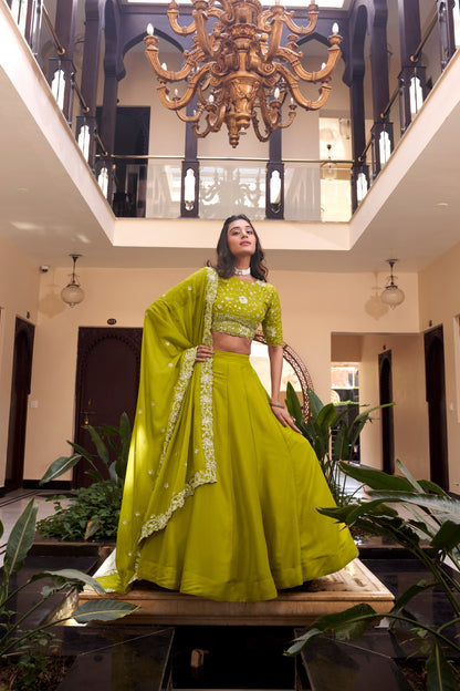 Parrot Star Georgette Pearl Coding And Sequins Embroidery Work Lehenga Choli