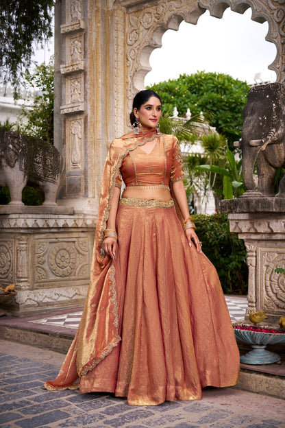 Rust Orange Fendi Sequins And Thread Embroidery Work Lehenga Choli