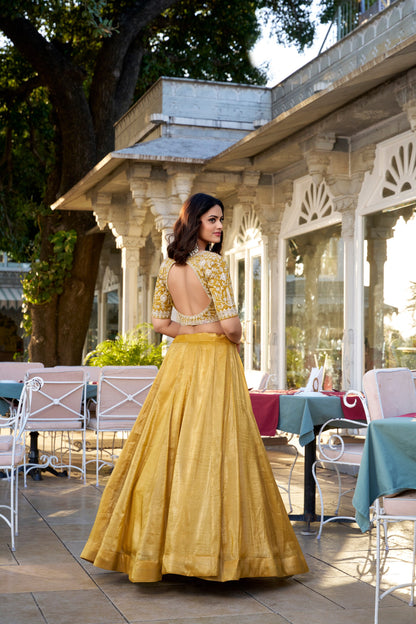 Goldie Sequins And Thread Embroidery Work Lehenga