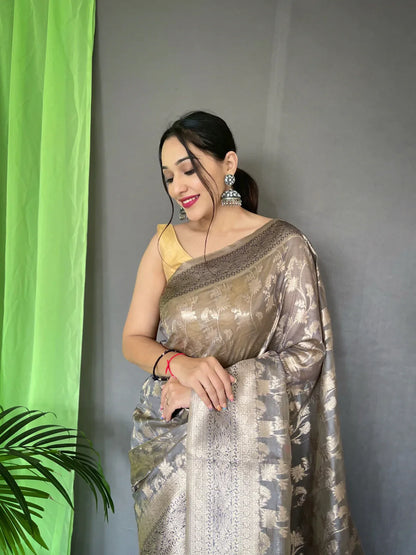 Organza Jaal Woven Saree Carbon Grey