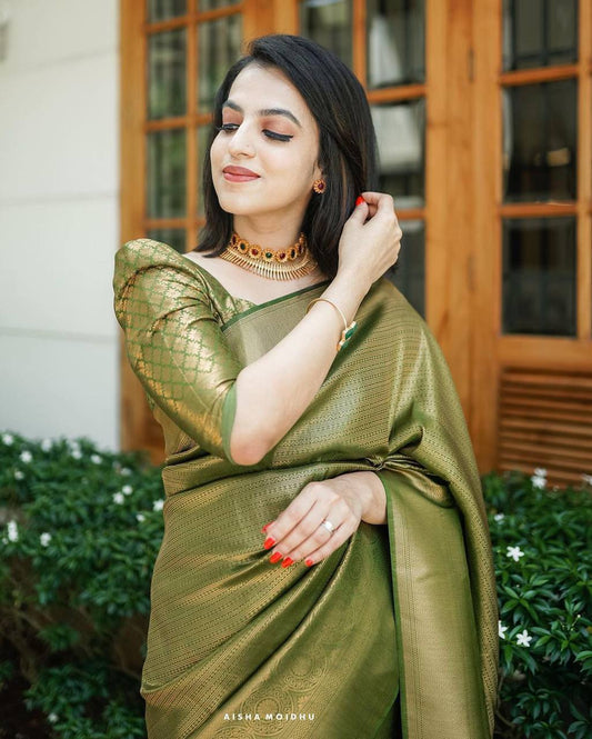 Light Green Saree & Blouse With Golden Zari Weaving Banarasi Beautiful Saree With Blouse