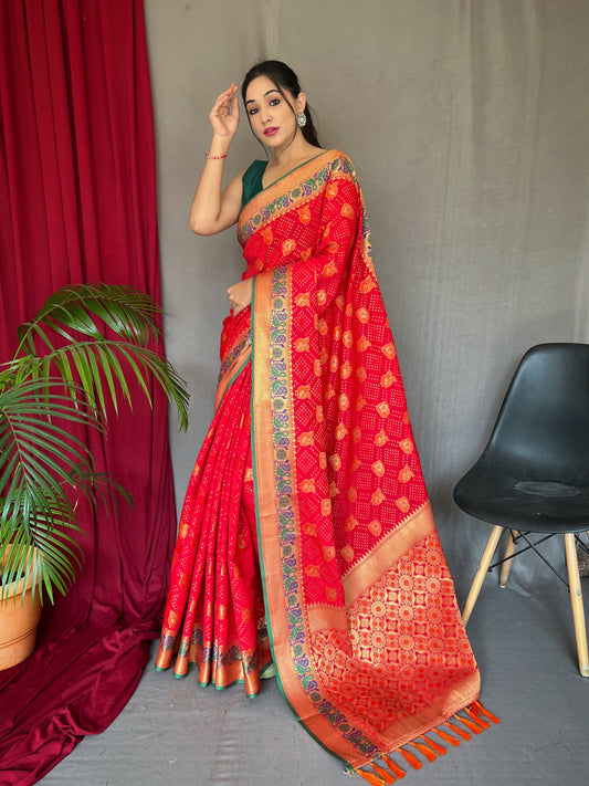 Red Kachii Patola Weaving Saree With Meenakari Border Saree